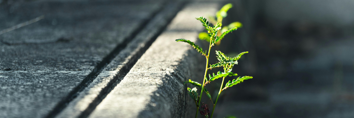 Resilience in Payroll: The Quiet Skill That Keeps Businesses Running