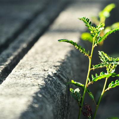 Resilience in Payroll: The Quiet Skill That Keeps Businesses Running