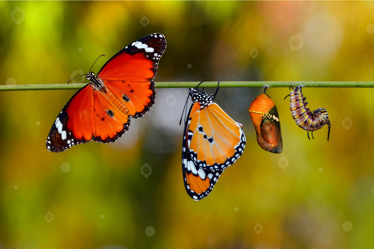 Effortless Payroll Transitions with BundyPlus and MYOB Acumatica